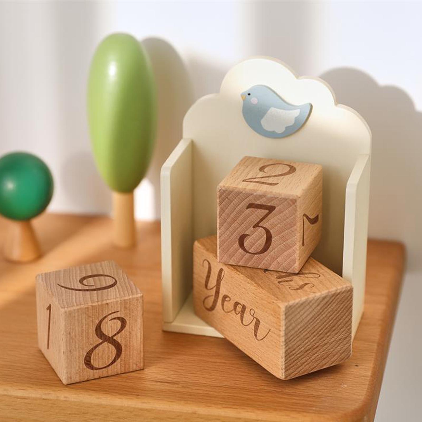 Wooden Baby Age Blocks Unique  - Baby Nursery Age 评论和价格