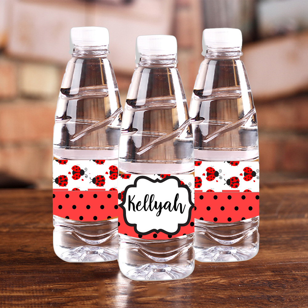 Personalised Ladybug Red Polka - Baby Food Processor 评论和价格