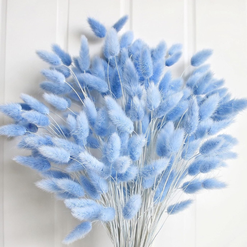 100PCS Blue Hare's-tail Grass  - Baby Nursery Ornaments 评论和价格