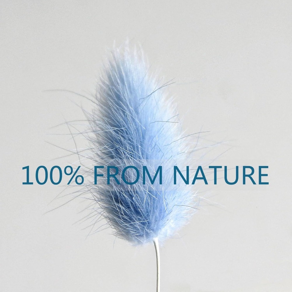 100PCS Blue Hare's-tail Grass  - Baby Nursery Ornaments 评论和价格